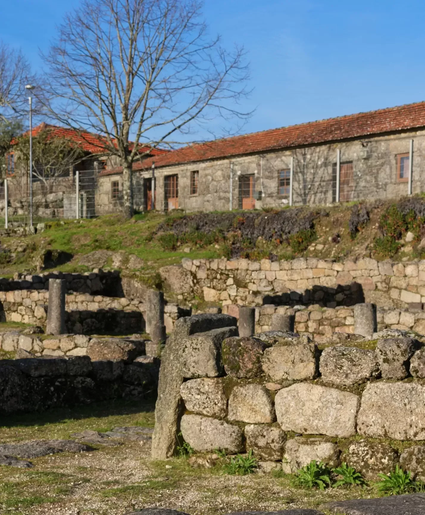 Área Arqueológica do Freixo/Tongobriga