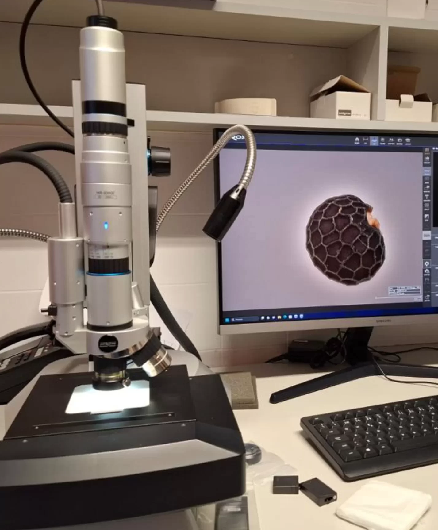 LARC - Laboratório de Arqueociências